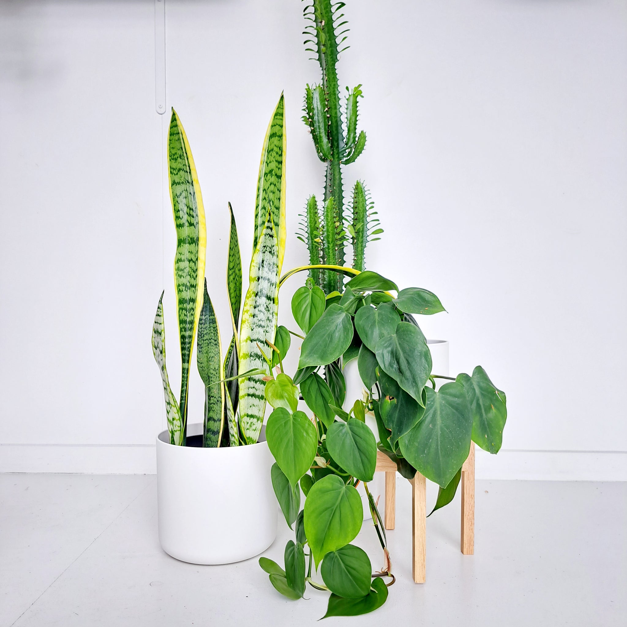 Plant Stands - Wooden