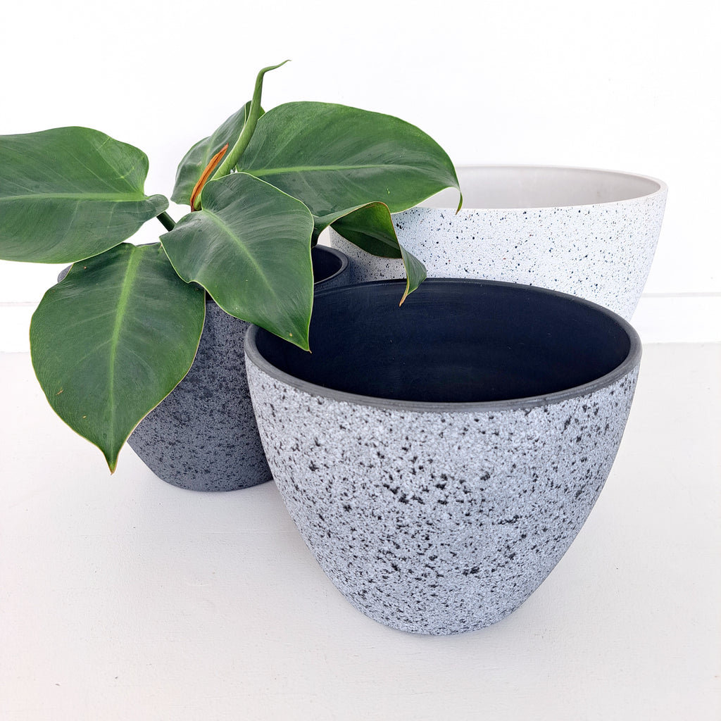 Nova Pots