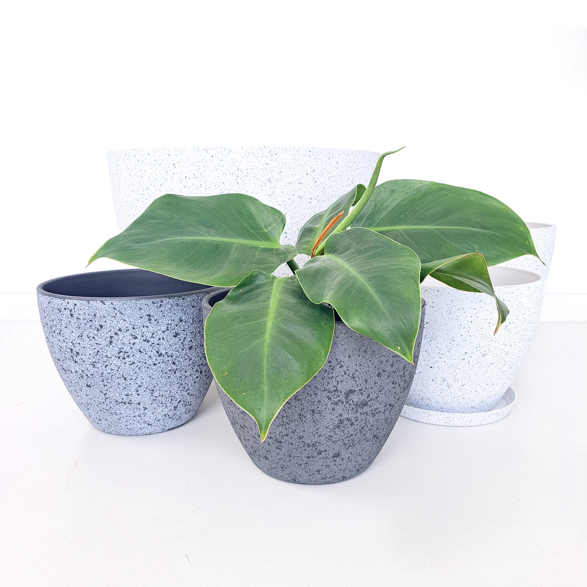 Nova Pots