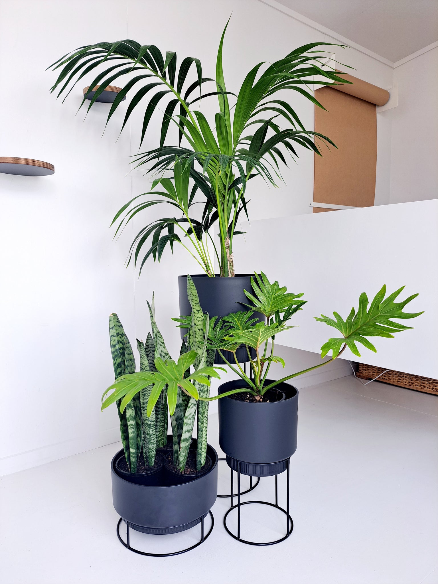 B.for Studio Cover pots on Stands