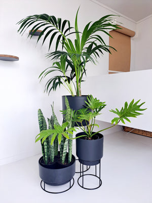 B.for Studio Cover pots on Stands