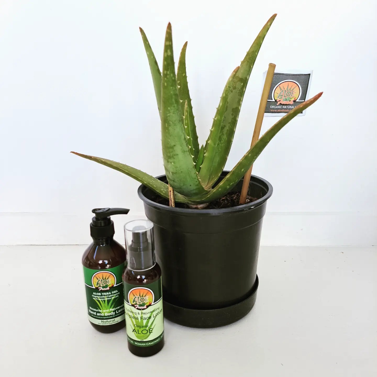 Aloe Vera Barbadensis - Natural Organic Complete Face Lotion 125ml