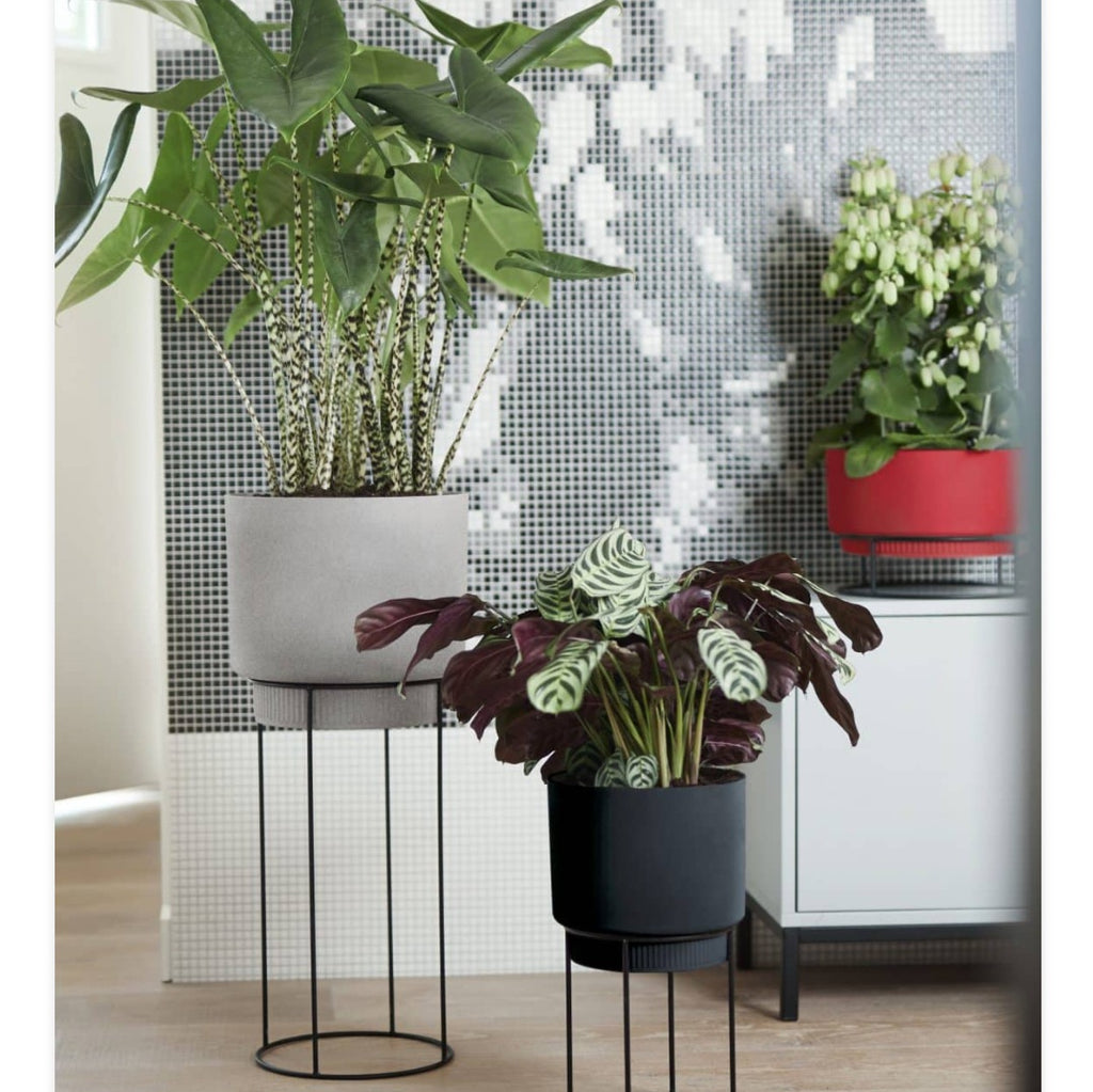 B.for Studio Cover pots on Stands