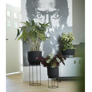 B.for Studio Cover pots on Stands