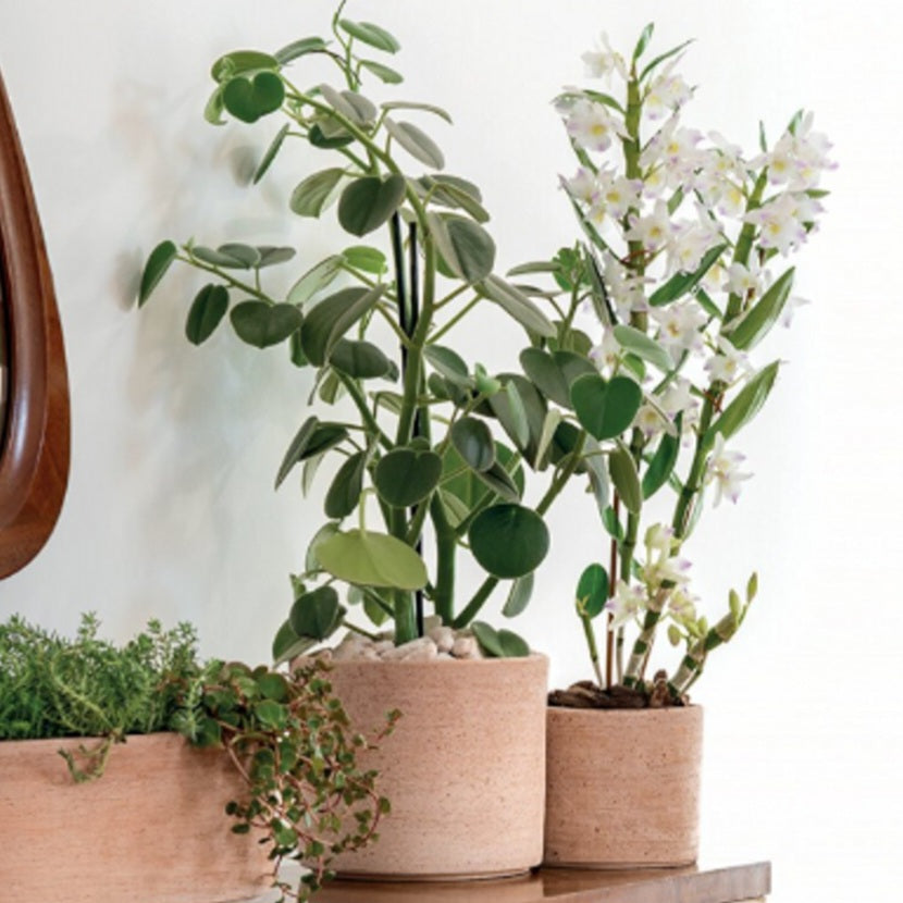 Luna - terracotta pot