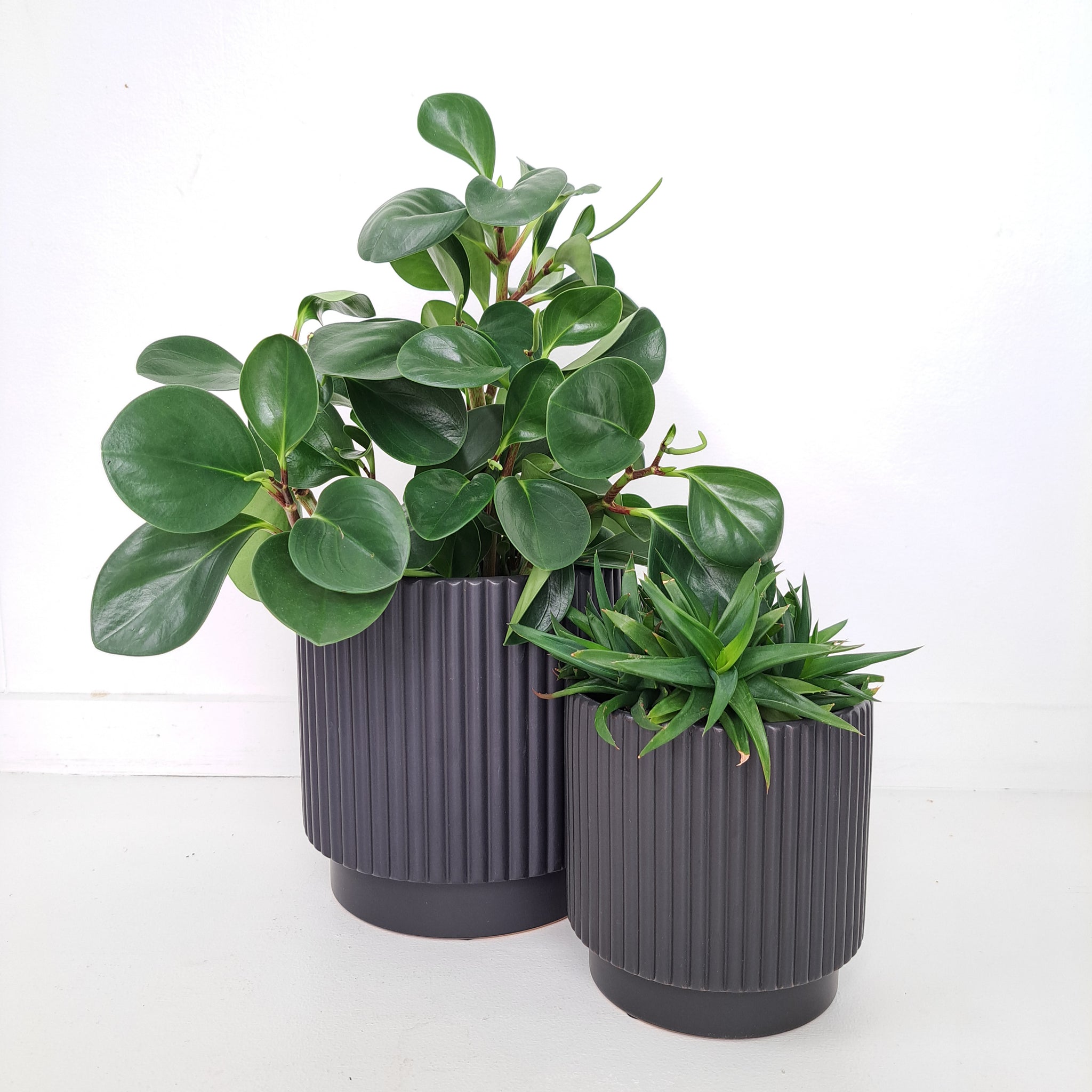 Ceramic Ribbed Connor Cover Pots - Black