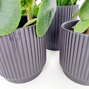 Ceramic Ribbed Connor Cover Pots - Black