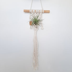 Macrame Hanger - for airplants