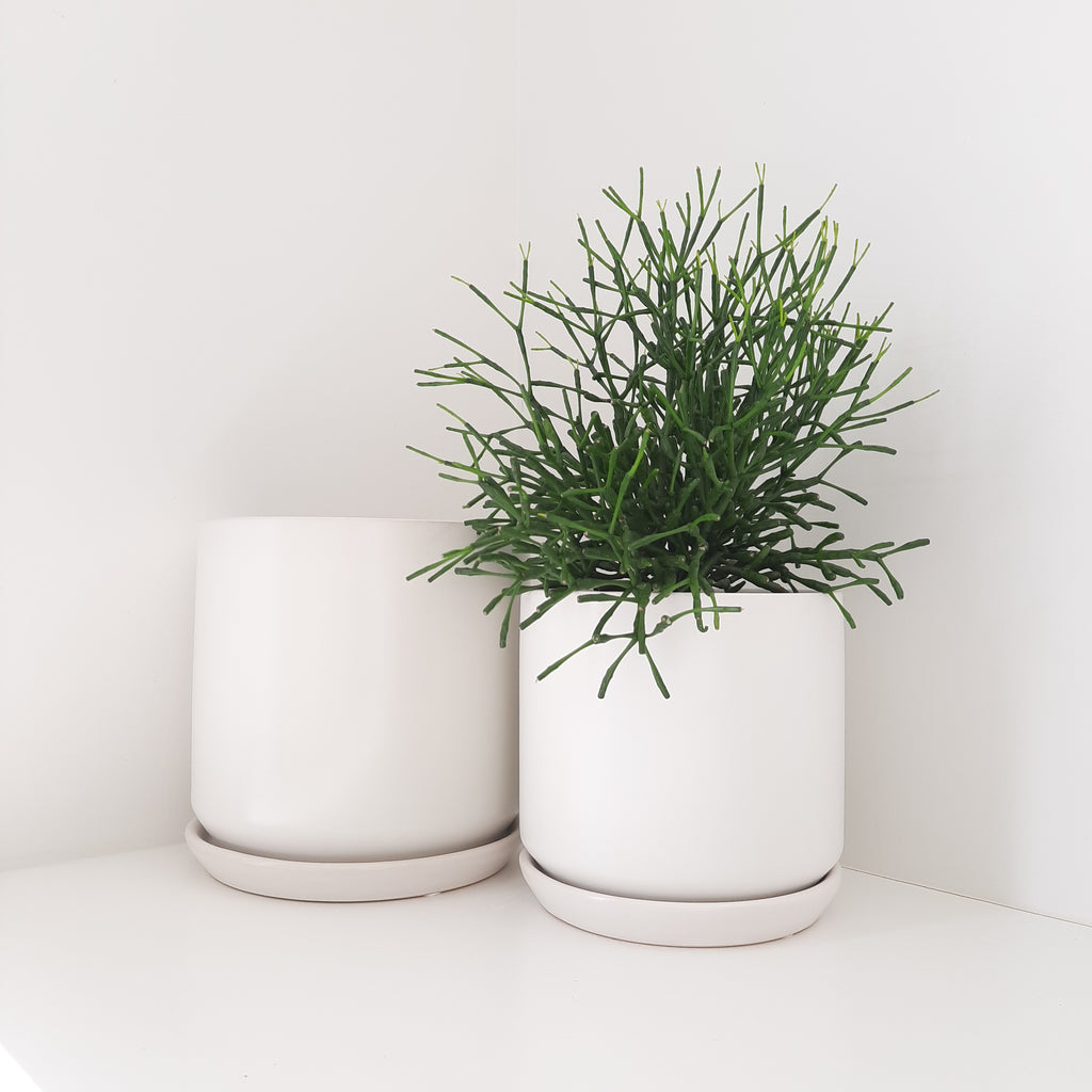 Planters - oslo white