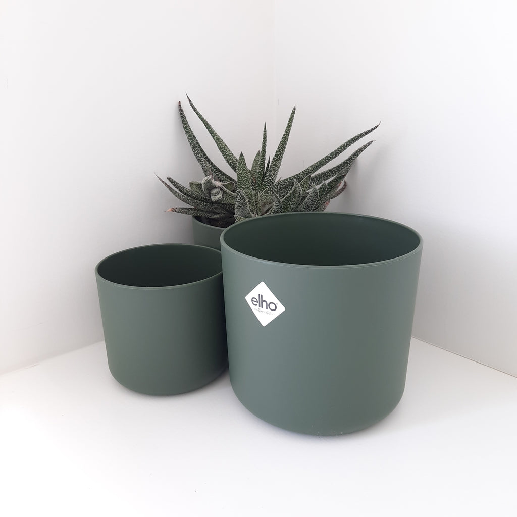 Elho B for Soft leaf green cover pots