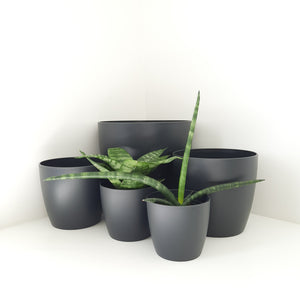 Elho Brussels black cover pots