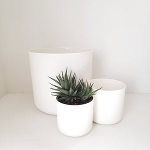 Elho B for Soft white cover pots