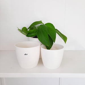 Elho Brussels white cover pots