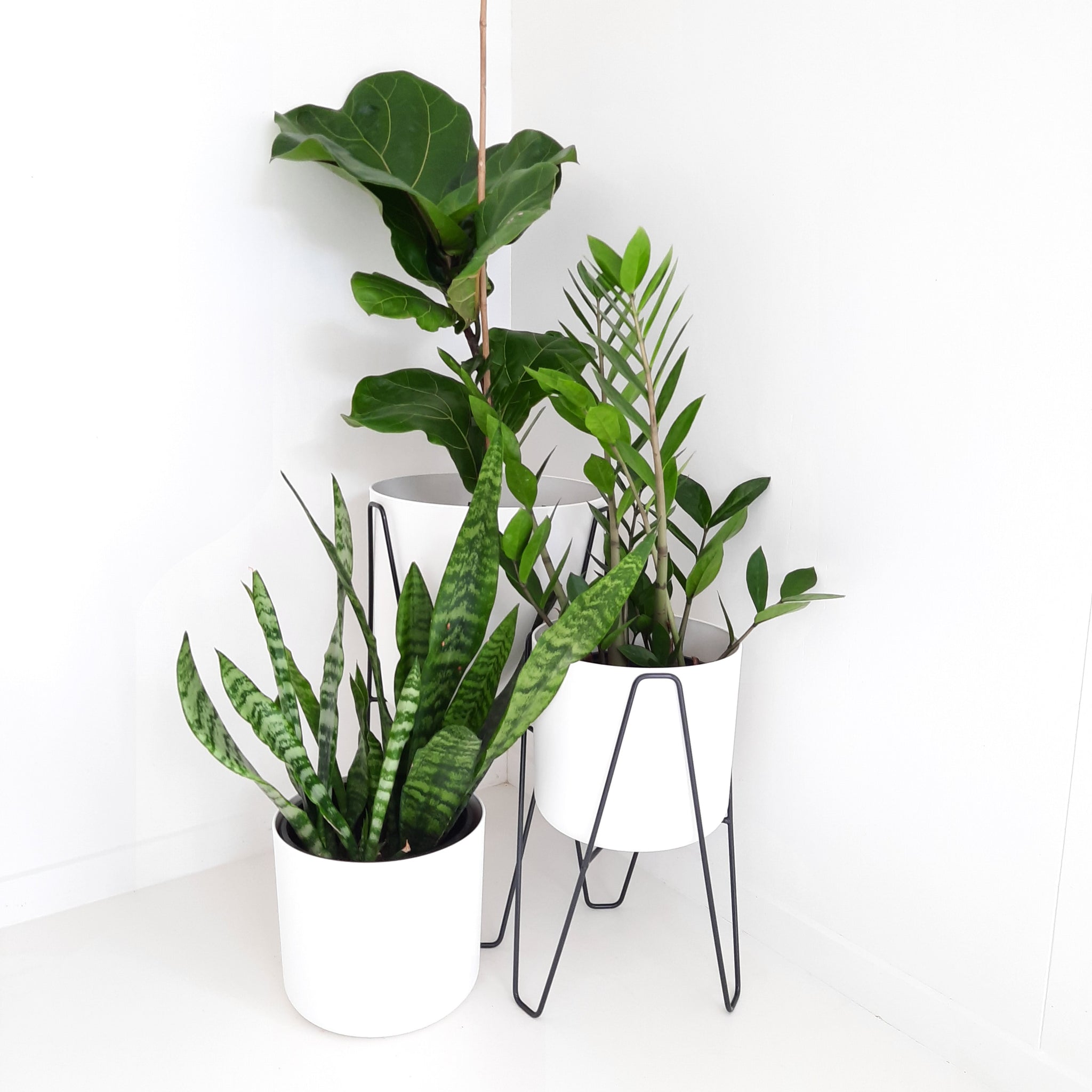 Plant Stands - Elho