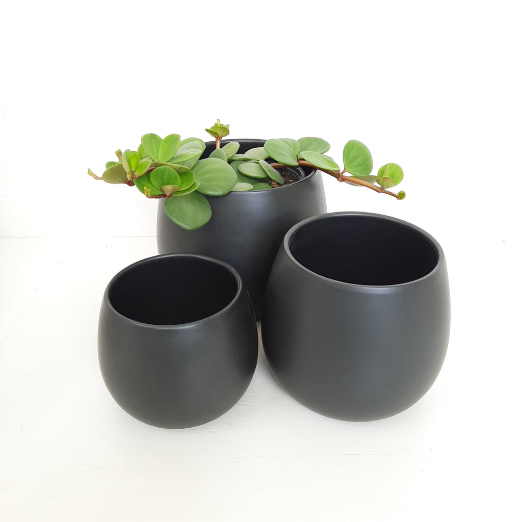 Ceramic Egg Cover Pots - Black