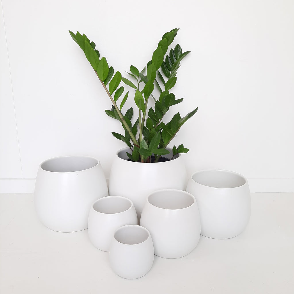 Ceramic Egg Cover Pots - White