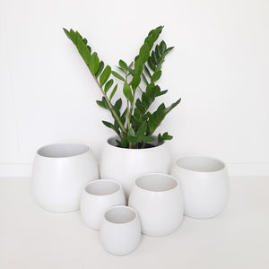 Ceramic Egg Cover Pots - White