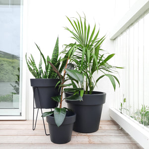 Plant Stands - Elho