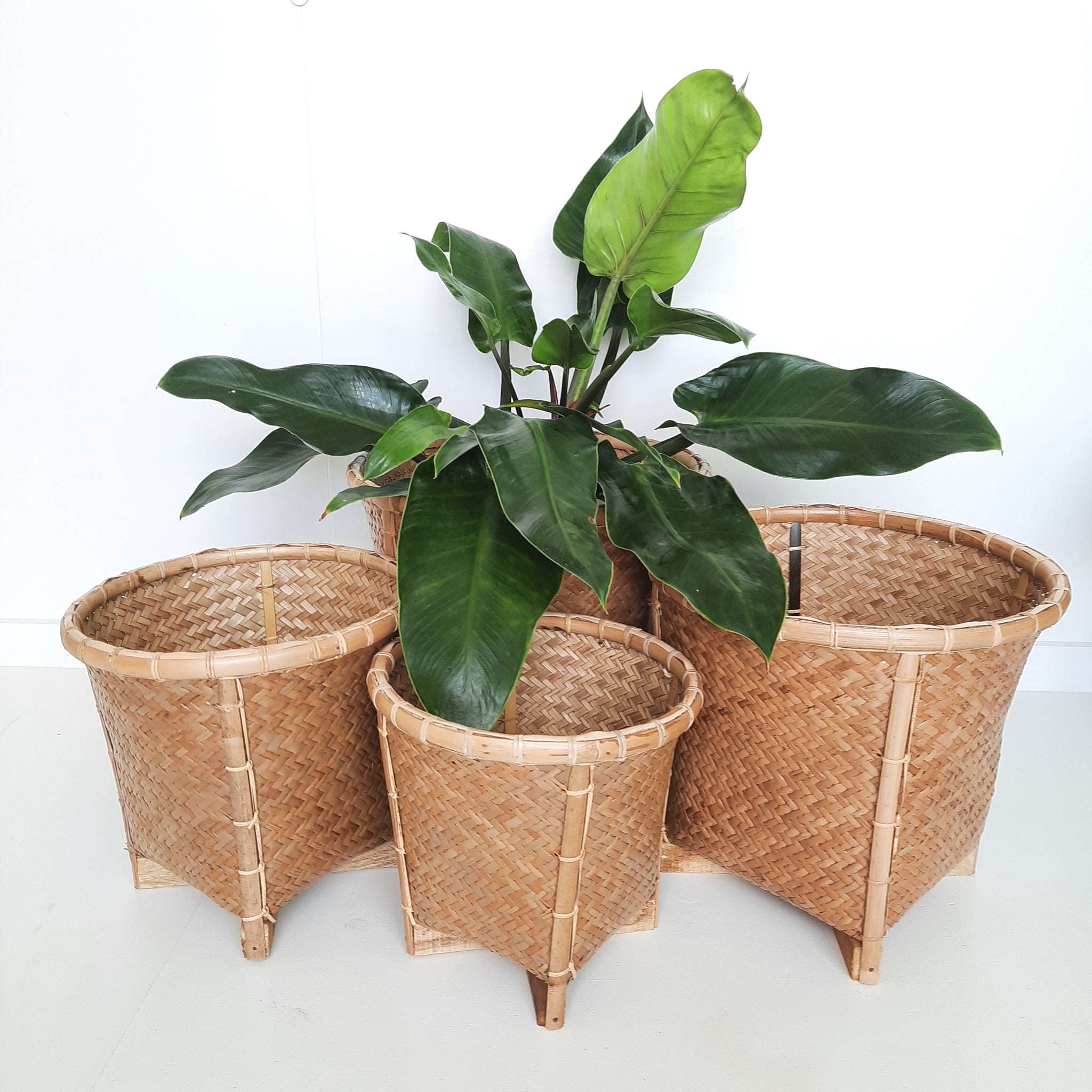 Baskets, Raffles Round - Set of 4 or Individuals