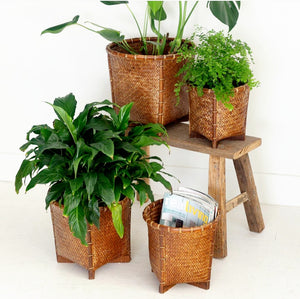 Baskets, Raffles Round - Set of 4 or Individuals