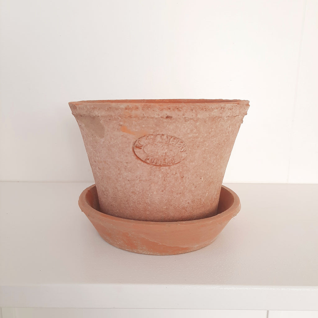 Aged terracotta round short pot with saucer