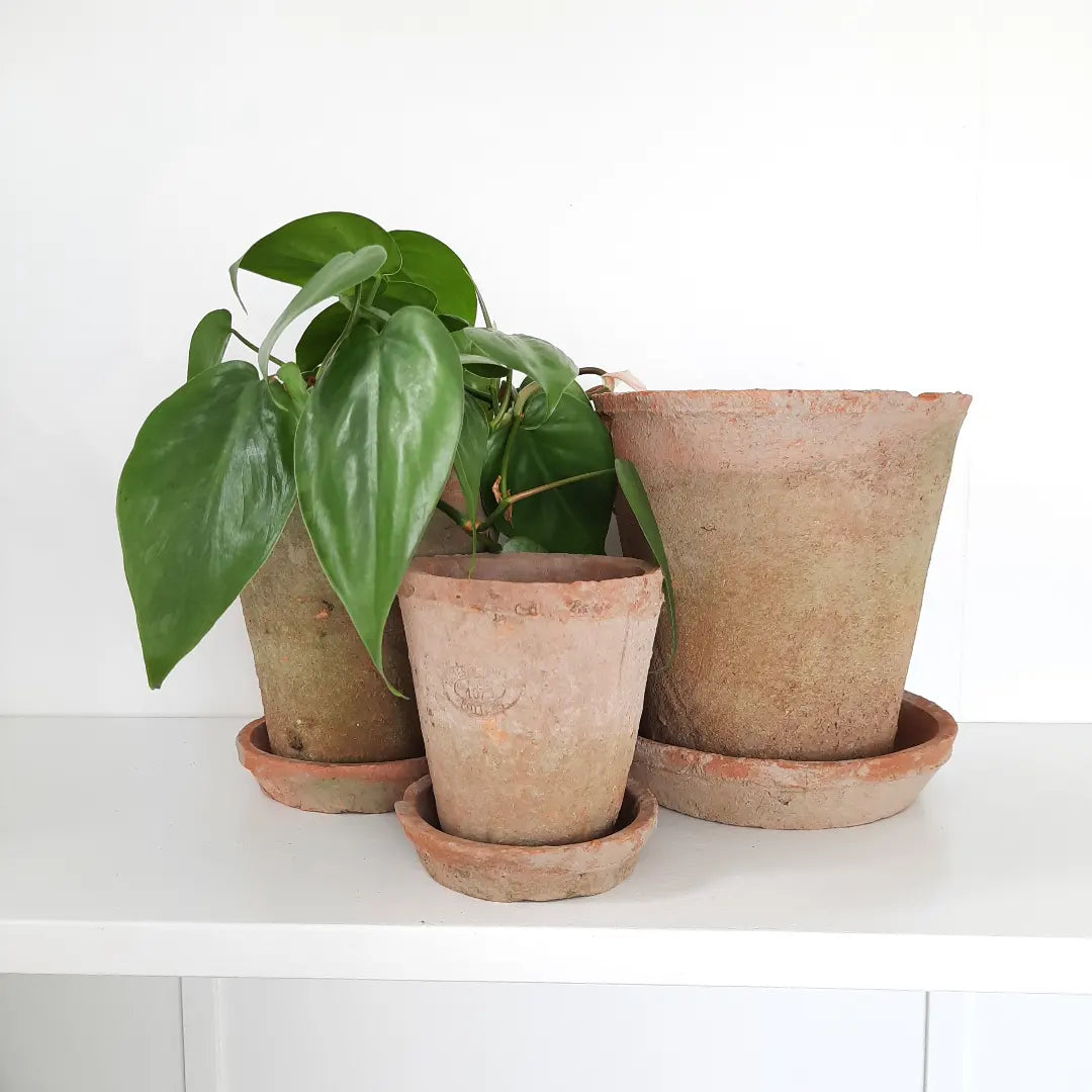 Aged Terracotta round pots & saucers - Set of 3 or Individuals